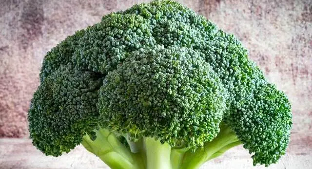 Brocoli y sus propiedades supersanas